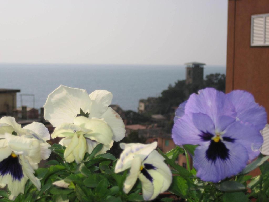Villa Cristina Monterosso al Mare Exterior foto