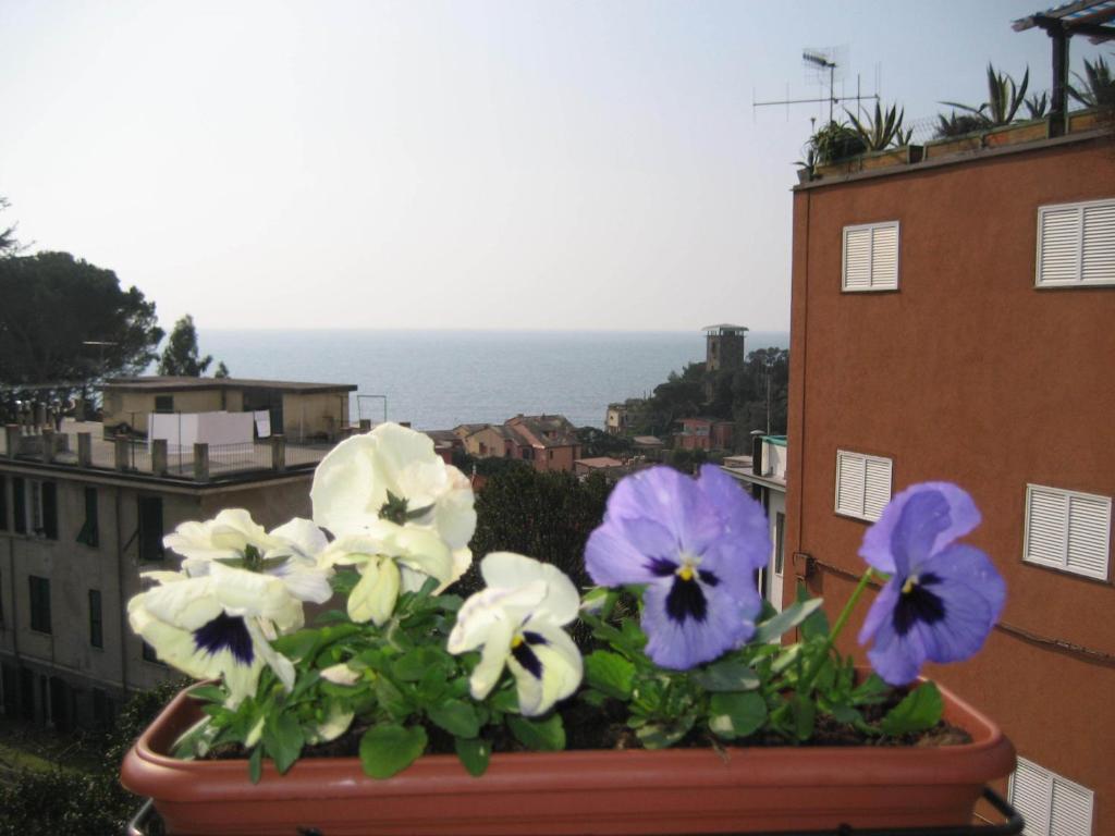 Villa Cristina Monterosso al Mare Exterior foto